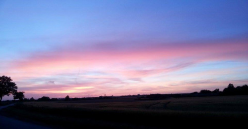 this is my blog
