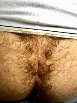 I Love a Hairy Hole