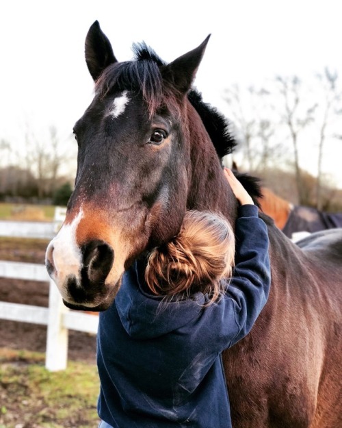 swimmingthroughthestereo: Pony love