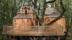 Southerngirlk:  Omg!!! I Want!  I Seriously Need This Tree House For The Grown Up