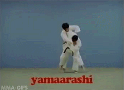 mma-gifs:  Judo Throws