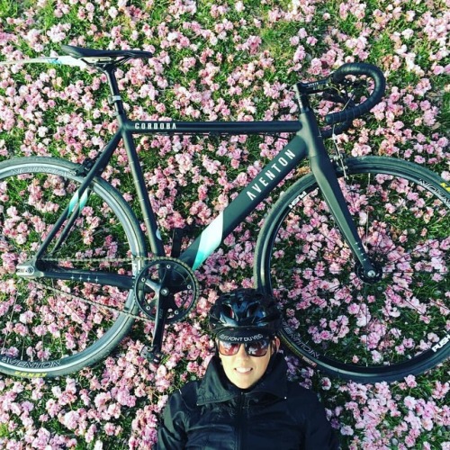 javi-ballestero: @vicky_carbonneau #girlbike #girlsgonefixie #ridegirl #ridelikegirl #fixiechick #fi