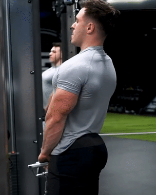 silverskinsrepository:Alex Bozinovski