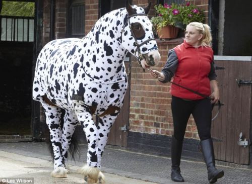 cimness:  end0skeletal:  Here are some horses (and a pony) wearing pajamas to brighten your day.  ME, very seriously: WE HAVE TO GET A HORSE AND SOME PAJAMAS. 