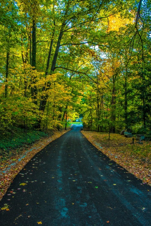 abiashra: Vibrant Fall by Shishir Adhikari