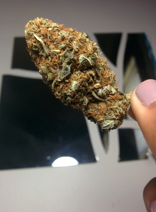 sin-and-sinsemilla: .picked some really pretty flowers today…