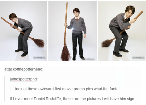 fagsfoodandfellatio: arwcn-evenstar:  The Harry Potter fandom Part 2 (Part 1)  Bonus…   james-morietti disforea 