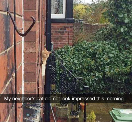 tastefullyoffensive:  “I saw what you did last night.” (photo by sellingstraws)