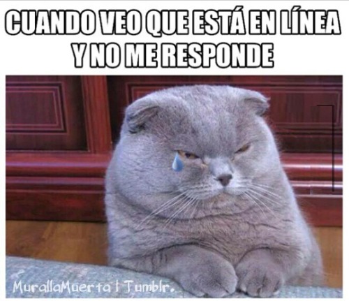 RTM! - Entiendan la Wea!