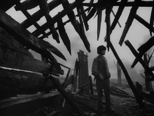 maxwellbul:    Ivan’s Childhood (1962), Director: Andrei Tarkovsky, DP: Vadim Yosov   
