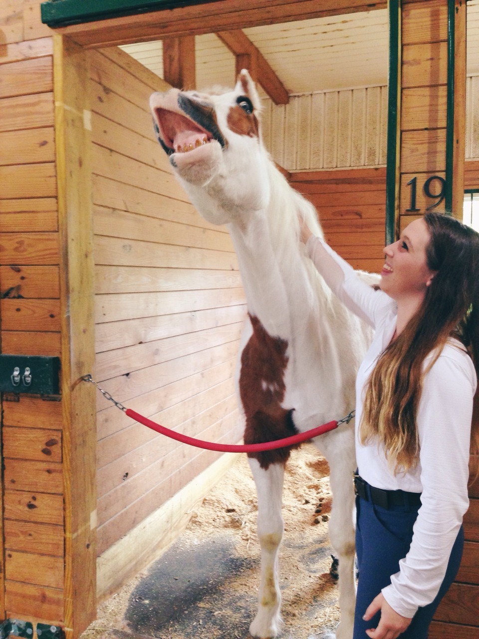 baysfordays:  dakota is a happy old man :) 