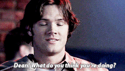 If I Read One More Time That Someone’s Sexuality Is Some Of Secret Meta Based On Lighting, Despite