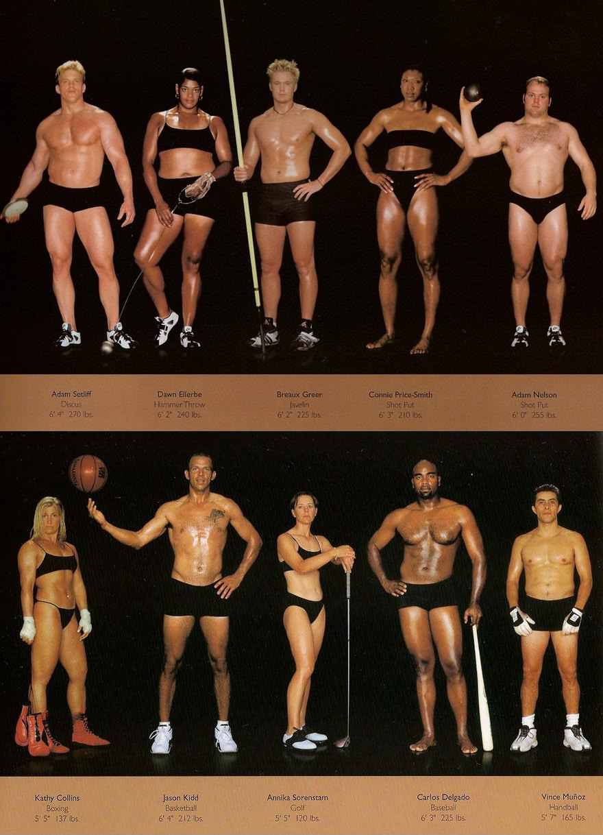 thedragonflywarrior:  thedragonflywarrior: The Body Shapes of the World’s Best