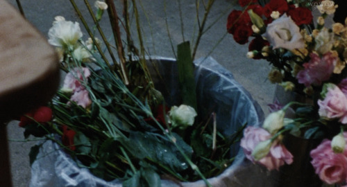 Romantic Prelude 2009 ‘おと・な・り’ Directed By Naoto Kumazawa