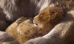 raysholt: The Lion King - Official Teaser Trailer 