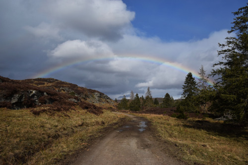 Loch Ordie WalkJust like last year, I decided to spend my birthday hiking up to Loch Ordie. It took 