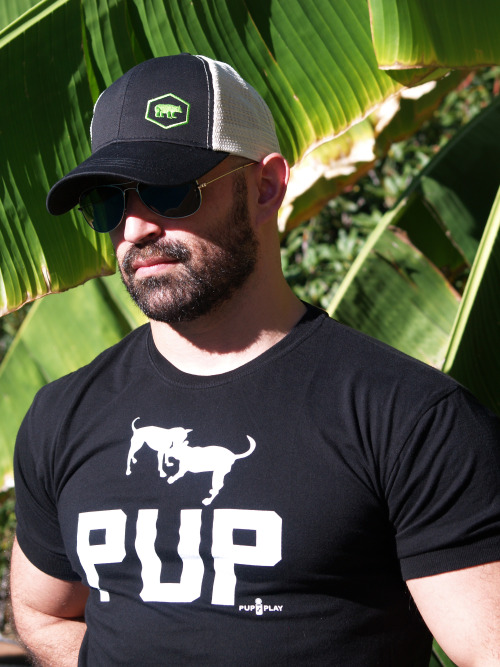 ajaxx63:  Pup Athletic Fit AS84 available from http://www.ajaxx63.com
