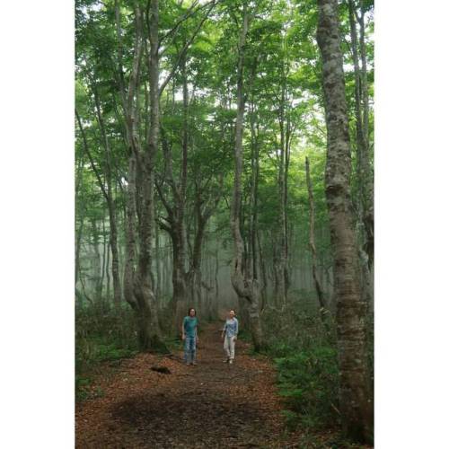 Into the forest * * * * #film #filmphotography #filmcamera #filmisnotdead #fuji #fujifilm #instagram