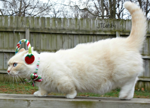 jtcatsby: Going to Grandma’s! ❤ #JTCatsby ❤ #spoiledbygrandma #OOTD #winterfashion #earmuffs #grandm