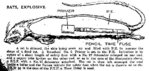 fed-ex-official: peashooter85: The Rat Bomb One of the many zany ideas of the British Special Operat