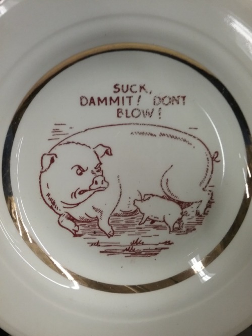 megapope:shiftythrifting:What the FUCK does this mean?very simple. he inflates the tit of the pig