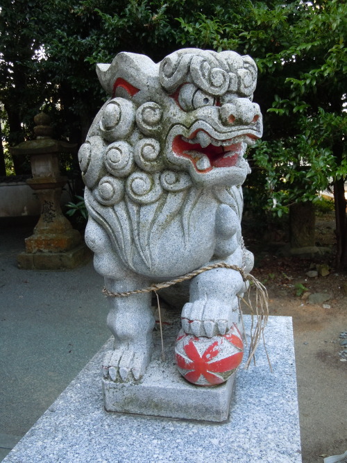 sowhatifiliveinkyushu:金刀比羅神社、福津市、福岡県、九州  (flickr)