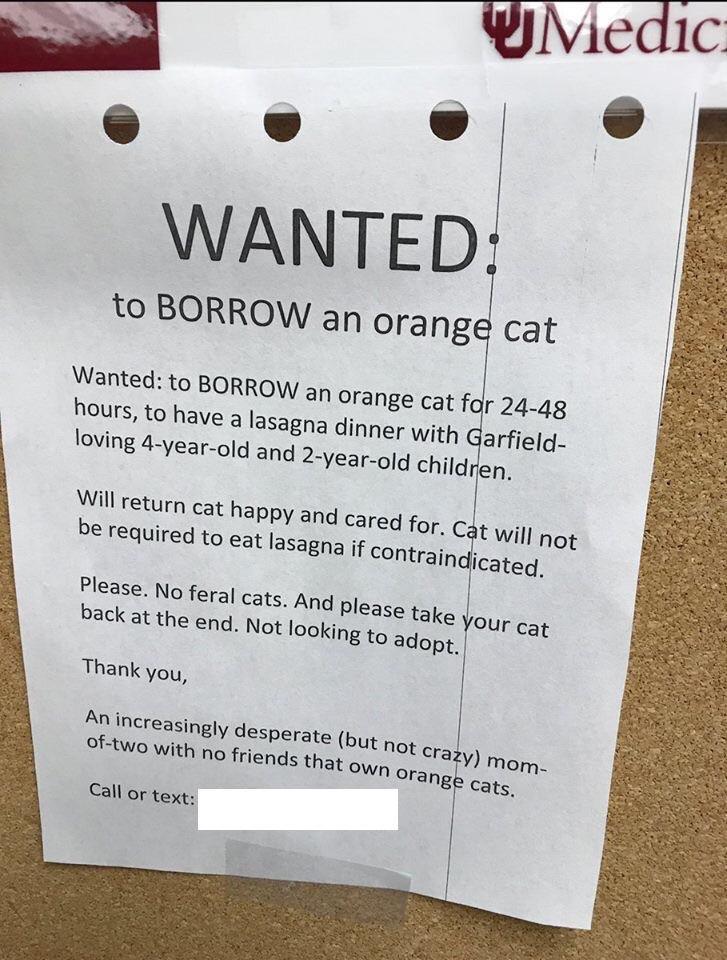 hurricane-overseas: the-at-symbol:  30-minute-memes: Wanted: Orange Cat  https://www.google.com/amp/s/amp.thisisinsider.com/garfield-cat-dinner-party-2018-8