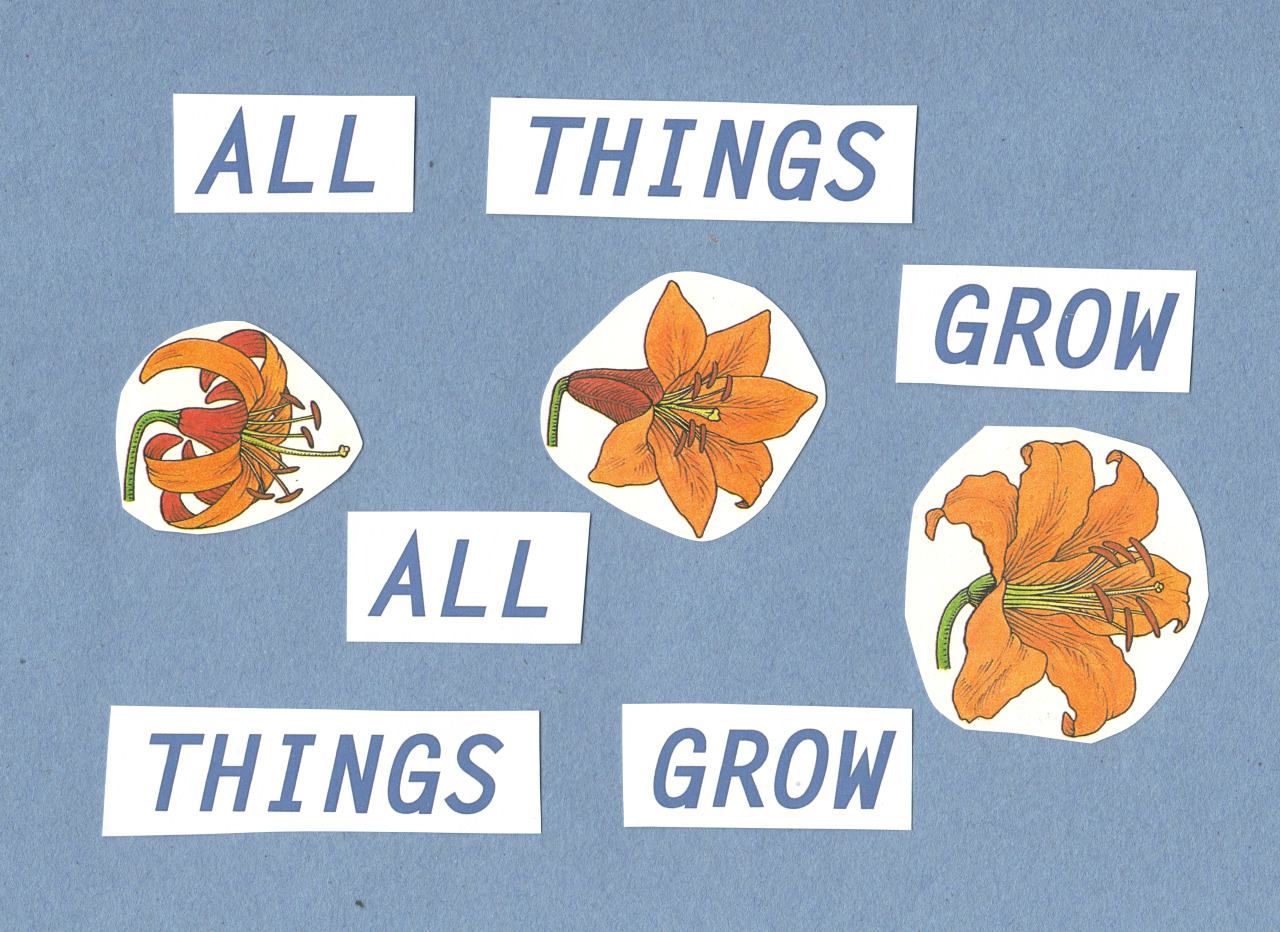 demiiwhiffin:  chicago // sufjan stevens
