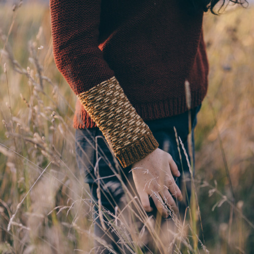 cablesandpurls:Knitting Pattern: Pippin Pullover by twig & hornThis pattern is available in the 