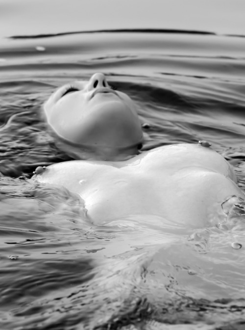 photographersdirectory:  I capture moments, places, people and things in life through my love of photography.  I have no particular style and not sure I want one (at least I don’t think I do) .  I enjoy photographing all things I see and experience.