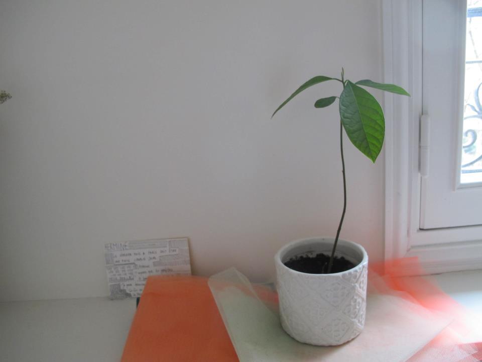 ohverytired:  Journal de Jours