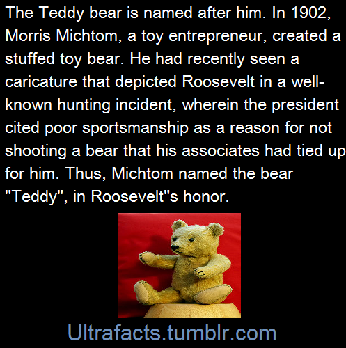 nephilimgirlbooks:  geekeryspookery:  ultrafacts:   Source: 1 2 3 4 5 6 7 8 9 10 If you want more facts, follow Ultrafacts   dude teddy roosevelt was rad as fuck okmy history teacher told us about the speech where he was shot. the shooter hit him right