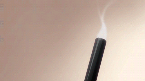 The age of the sword is over. My former master, Sakamoto Ryouma, used to say so too. The future is g