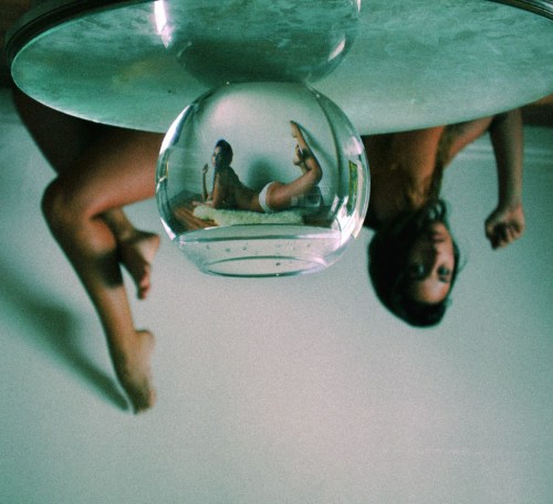 tru:  Dana Trippe