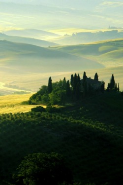 oliverclvrk:  Tuscan Vinyard 