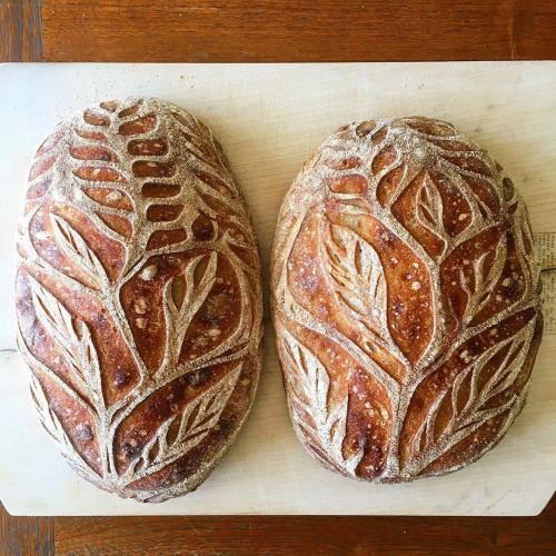 itscolossal:Twisting Vines and Leafy Botanics Carved into Crusty Breads by Blondie + Rye