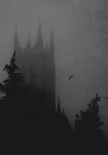 #photography#dark#dark city#architecture#gothic#shadow#mood#aesthetic#atmosphere#foggy#life#thouhgts#trees#alone