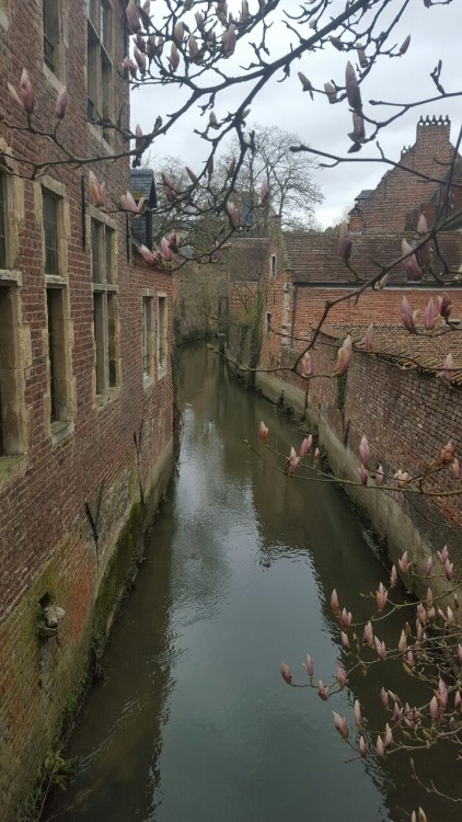 duyeo: Groot Begijnhof van Leuven, België