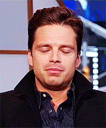 hobbsyssel:  sebastian stan doing things with his face during interviews part 5/∞[x] 