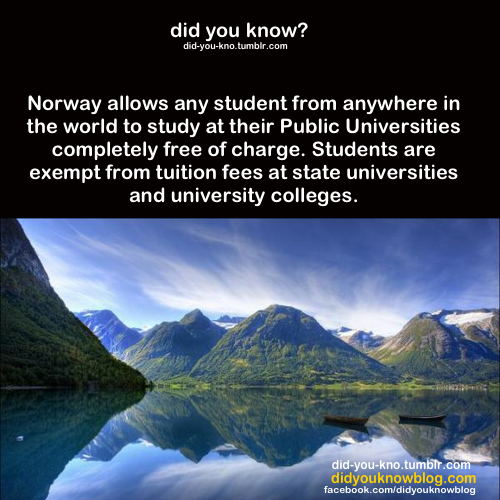 knottydreadlocks:  brightsideofsleep:  did-you-kno:  Source  Norway, here I come!! But for real. I would do this in a heart beat.  I really would like to go to Norway again. Even live there.. I would love to live there.I went to a family reunion there