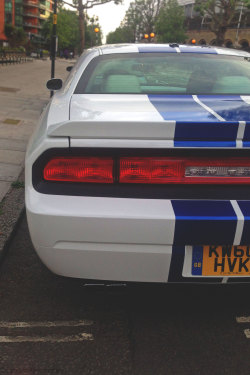 londonautomotive:  Dodge Challenger