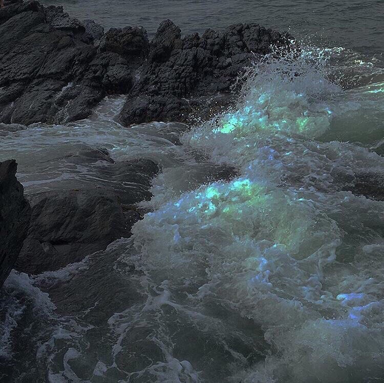 requiem-on-water: (x)