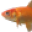 d0rdy
