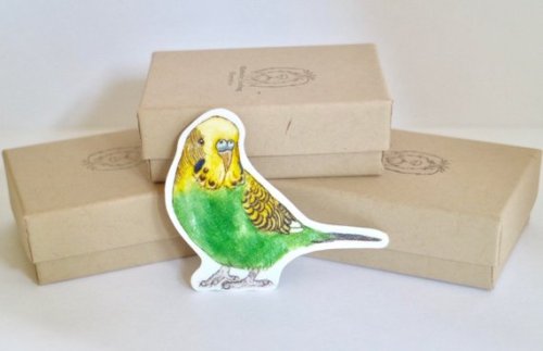 Budgie Brooch //ksnelling2014