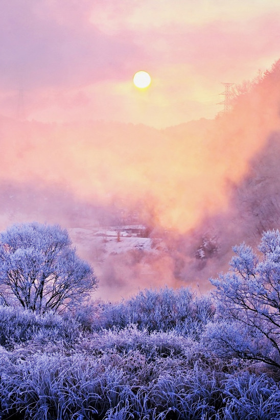 heaven-ly-mind:  winter morning