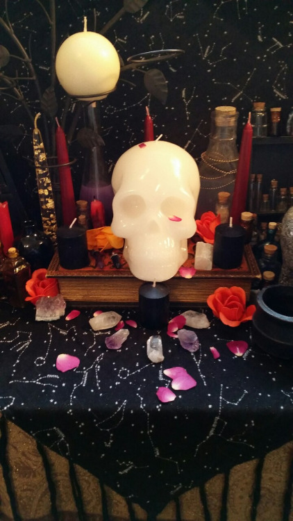 orriculum:GUESS WHO’S A SLUT FOR HALLOWEEN
