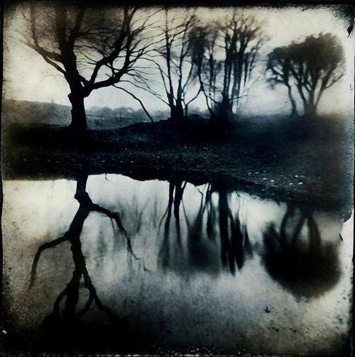 Lake 101123