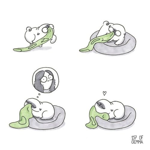 boredpanda:    20+ Adorable Comics That Hilariously Sum Up What It’s Like Living With A Dog (New Pics)  