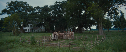 12 Years a Slave ( 12 anni schiavo ), 2013DramaDirected by Steve McQueenDirector of photography: Sea