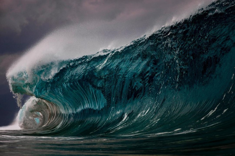 sosuperawesome:  Ray Collins on InstagramFollow So Super Awesome on Instagram 
